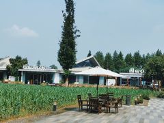 -田园东方蜜桃村的田野营地