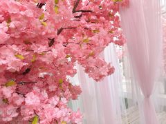 -Blue Concept Cafe&Farm·關於藍