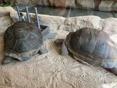 -长鹿旅游休博园