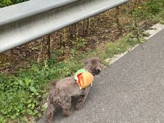 -青龙山国家森林公园