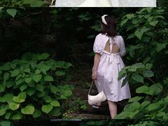 -枸杞岛