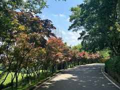 -南京市江宁方山