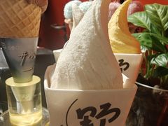 -野人先生现做冰淇淋(北京王府井东方新天地店)