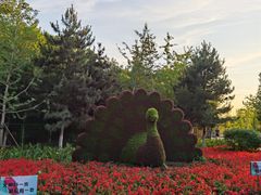 -长白岛森林公园