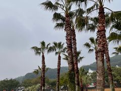 -普陀山风景名胜区-千步大沙