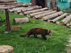 -泉州海丝野生动物世界