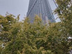 -视界美食自助餐厅·石家庄希尔顿酒店