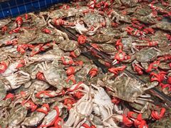 -一方渔歌蒸汽海鲜自助(文化路万达广场店)