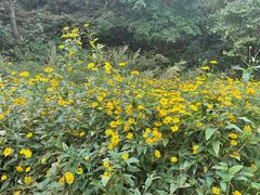 -玉渡山自然风景区