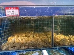 -渔满仓海鲜渔家(象山二店)