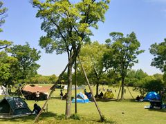 -上海吴淞炮台湾国家湿地公园