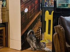 -元氏钵仔糕(北京路店)