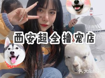 满足你对宠物的所有幻想