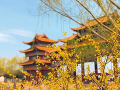 -威海华夏城景区