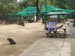 -秦皇岛野生动物园