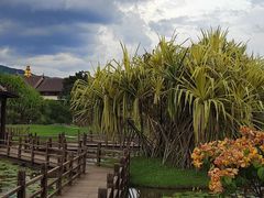 -中国科学院西双版纳热带植物园