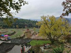 -塔川景区