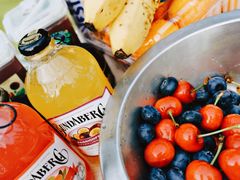 -前小桔亲子创意农场·草莓采摘·露营烧烤