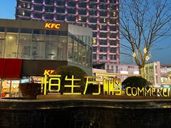 -恒生万鹂广场(唐镇店)