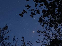 -朝阳公园