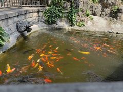 -红螺寺