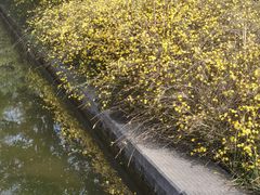 -洛阳市隋唐城遗址植物园
