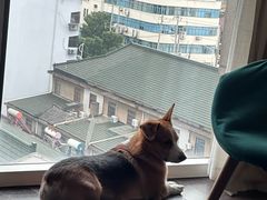 -本逸·割烹料理(湖墅店)