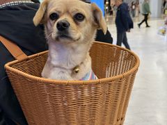 -大悦城(沈阳中街店)