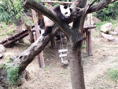 -宁波野生动物园
