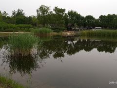 -永定河休闲森林公园