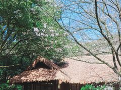 -中国茶叶博物馆(双峰馆区)