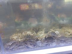 -聚盛源蒸汽海鲜火锅烤肉自助(巨川金海岸购物广场店)