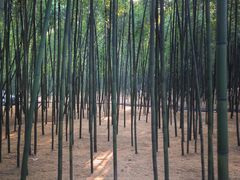 -同里国家湿地公园