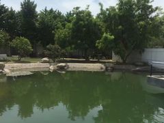 -石家庄市植物园