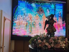 -金东尼人妖秀