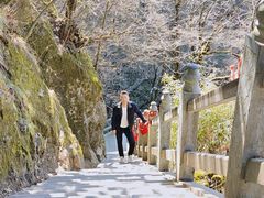 -秦岭风景区