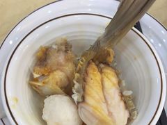 -源港渔村-中山脆肉鲩(博罗店)