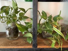 -沙掌门肉蟹煲(沙溪店)