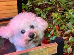 -Cactus墨西哥仙人掌餐厅