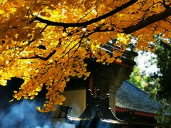 -红螺寺