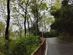 -三门江国家森林公园