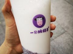 -一只酸奶牛(百联南岸上海城店)