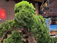-重庆德庄火锅(映月湖环宇城店)