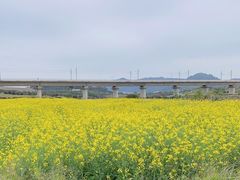 -光明小镇欢乐田园