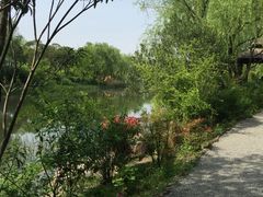 -新江湾城公园