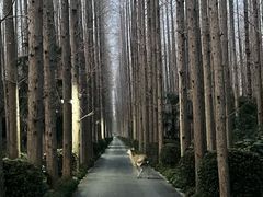 -上海怡沁园度假酒店