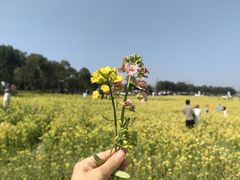 -崔岗艺术村