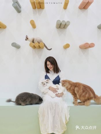 利路修同款撸猫体验,今天我的快乐源泉。