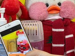 -志龙皇冠吃货椰子铺