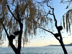 -滇池海埂公园